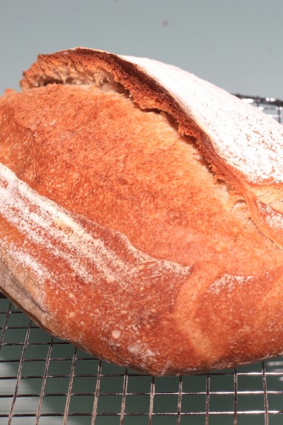 Recette, Pains au levain, 2 miches avec 1600g de pâte