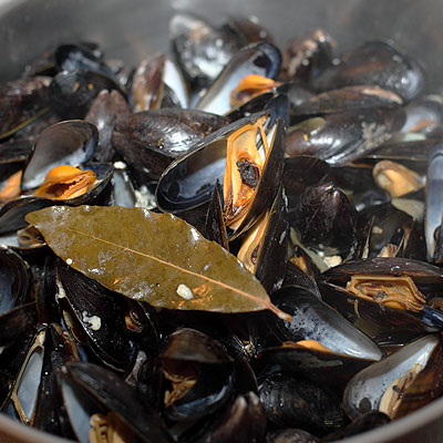 Recette, Moules marinières