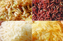 Riz